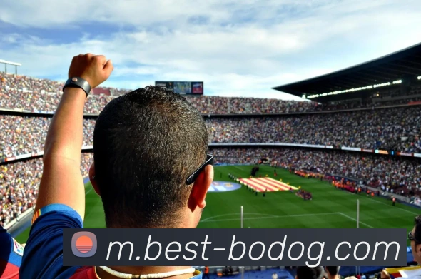 App Interface Preview