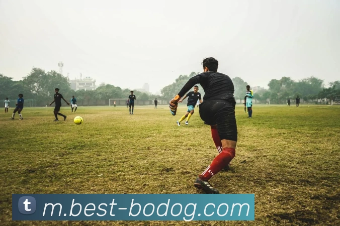 博狗娱乐APP 封面图